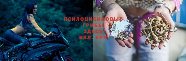 винт Мегион