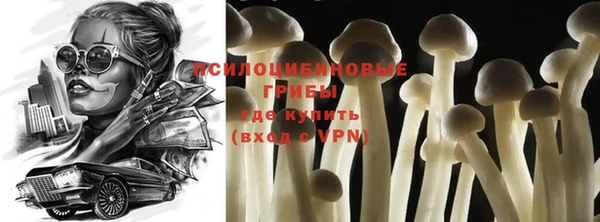 винт Мегион