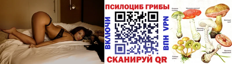 Галлюциногенные грибы мицелий  Мытищи 