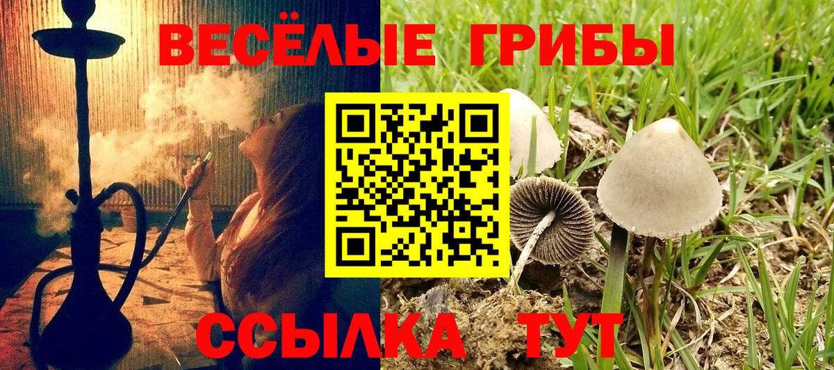 Псилоцибиновые грибы Magic Shrooms Мытищи