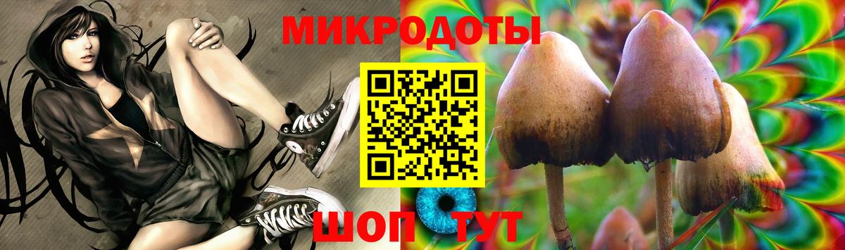 Мытищи  Галлюциногенные грибы GOLDEN TEACHER  Вход с VPN  Псилоцибиновые грибы Psilocybine cubensis 